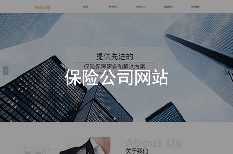 保險(xiǎn)公司企業(yè)官網(wǎng)（簡(jiǎn)約大氣）